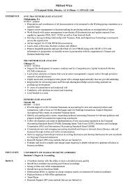 lead business analyst resume examples
