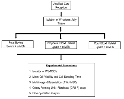 The cord blood unit is then delivered to the blood bank, where it is checked to ensure that it more than 730,00 cord blood units are available worldwide to be used for any patient in need, and around. Bioengineering Free Full Text Evaluation Of Peripheral Blood And Cord Blood Platelet Lysates In Isolation And Expansion Of Multipotent Mesenchymal Stromal Cells Html
