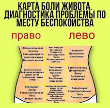 6 типов ожирения и как справиться с каждым из них Pin Na Doske Zdorove