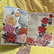 Image result for Green 1961 Montgomery Ward