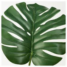 Fejka Kunstplantenplant Binnen Buiten Monstera Ikea Ikea Fejka Indoor Outdoor Monster In 2020 Artificial Potted Plants Plants Artificial Plants