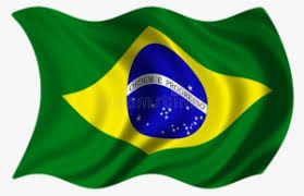In addition, all trademarks and usage rights belong to the related institution. Brazil Flag Png Download Transparent Brazil Flag Png Images For Free Nicepng