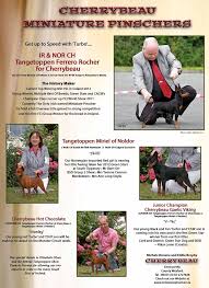 Michele Browne (michelebrowne33)