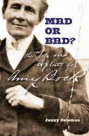 Mad or Bad? by Jenny Coleman (Ebook)