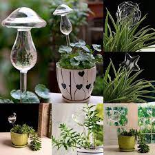 Self Watering Pot Plant Watering Glass Flower Watering Spike Planting Flowers Self Watering Plants House Plants