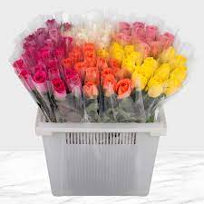 Due to the high quantity of flowers available, this list does not include all flowers. 100 Stem Single Wrapped Roses Costco