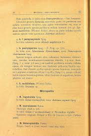 Image result for Vernonia madefacta