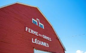 Ferme Des Ormes 175 Rang Chenal Tardif Pierreville Quebec J0g 1j0 Autocueillette Ete Tourism Pleinair Framboise Fraise Ferme Plein Air Cueillette