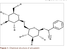 Amygdalin and prunasin are common among plants of the family rosaceae. Pdf Advanced Research On Anti Tumor Effects Of Amygdalin Semantic Scholar