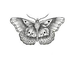 Pin By Santy Gonzalez On X Harry Styles Tattoos Harry Styles Butterfly Harry Tattoos