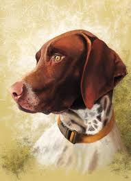 While the dame carry's her pups. Breed Profile German Shorthaired Pointer