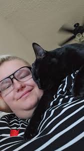 iso vets in the ogle County or nearby areas that do payment plans, or maybe  insurance options. my girl Luna