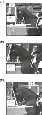 The goal of dressage training is to develop a horse's flexibility, responsiveness to aids, and balance. Comparison Of The Head And Neck Position Of Elite Dressage Horses During Top Level Competitions In 1992 Versus 2008 Sciencedirect