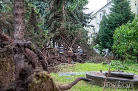 Tornádó tarolta le orosháza utcáit! Tornado Volt Oroshazan Kiderul Idojaras