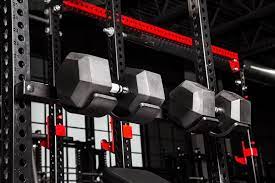 Versaspot Dumbbell Spotter System Garage Gym Reviews