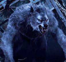 Werewolf, in european folklore, a man who turns into a wolf at night and devours animals, people, or corpses but returns to human form by day. Werewolf Alchetron The Free Social Encyclopedia