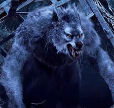 The werewolf is a widespread concept in european folklore , existing in many variants, which are related by a common. Werewolf Alchetron The Free Social Encyclopedia