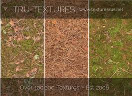 Check spelling or type a new query. Second Life Marketplace 27569 10 X Seamless Forest Floor Straw Hay Terrain Textures By Ambientlight Co Uk 512 X 512 Pixels