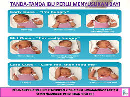 Memang banyak produk untuk susu ibu mengandung dan milkbooster di luar sana. Penyusuan Susu Ibu Hospital Sungai Buloh Selangor Facebook