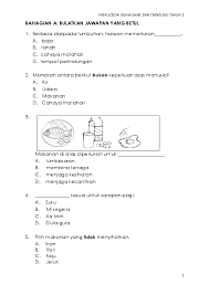 Tahun 5 ( kemandirian spesis ). Pdf Soalan Pksr 2 Dst Tahun 2 Norazlin Mohd Rusdin Academia Edu