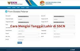 Jul 01, 2021 · info lengkap cpns kementerian dalam negeri 2021. Cara Mengisi Tanggal Lahir Di Sscn Dengan Mudah Dan Cepat