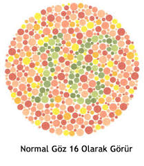 gozlerinizi test edin