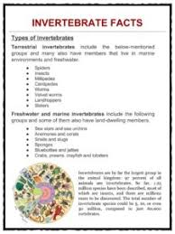 Invertebrate Facts Worksheets Types Specie Information