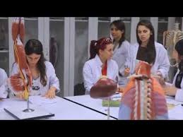 Yok Atlas Guncel Verilere Gore Tum Universiteler Ve Cerrahpasa Capa Hacettepe Tip Siralamalari Tip Fakultesi Taban Puanlari In 2020 Online Learning Education Learning