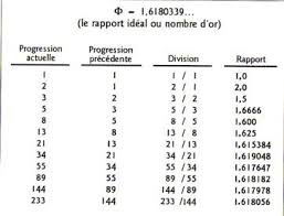 Résultat de recherche d'images pour "nombre d'or corps humain"
