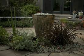 Shirley Watts Landscaping Landscape Design Xeriscape Landscape
