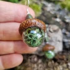 Can anyone tell me what it's. Flowers Ferns Home Facebook