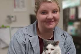 Lakeside Animal Hospital: Top Rated Richmond Veterinarians