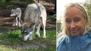 Caroline Dickson vill medla i vargkonflikten