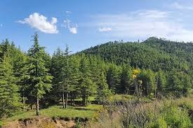 Maybe you would like to learn more about one of these? Ù‚ÙˆÙ…Ø§Ù†Ø¯Ø§Ù†ÛŒ Ø¢Ù…Ù†ÛŒÛ ÙˆÙ„Ø³ÙˆØ§Ù„ÛŒ Ø¬Ø§Ø¬ÛŒ Ø§Ø±ÛŒÙˆØ¨ Startseite Facebook