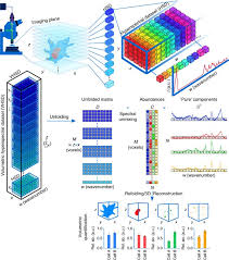 Check spelling or type a new query. Quantitative Volumetric Raman Imaging Of Three Dimensional Cell Cultures Nature Communications