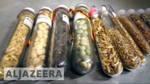 Primary funding for the trust comes. Norway To Upgrade The Doomsday Vault Al Jazeera English Youtube