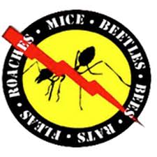 Those reviews could show an accurate picture of how they're doing, and whether or not you want to hire them. Aggressive Pest Control 11 Reviews Pest Control Kent Wa Phone Number