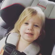 @danielandretta's video Tweet