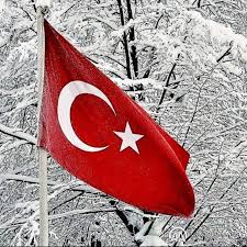 Albayragim Bayrak Turkiye Resim