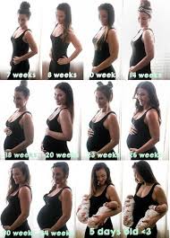 Pin On Baby Bump Progression