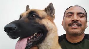 Abby का डर , Pet ka डरने का karan,pet क्यों डरते है, #video #viral #dog,  ‪@petvlog.G‬