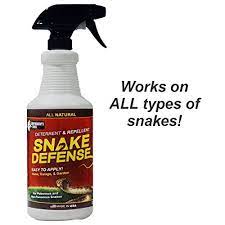 Mice Wasp Hornet Spray On Snakes
