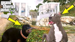 Yavru Pitbull Yaramaz Kucuk Rottweiler Ile Tanisiyor Gta 5 Youtube