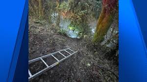 Blinded by headlights, driver veers into creek near Kelso, sleeps overnight  in trunk before rescue