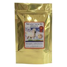 Image result for Pinworm Test