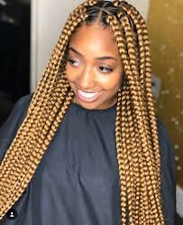 Black Box Braids With Color Tips Pin By Jay S Tips On Braids Braids Hairstyles Pictures African Braids Hairstyles Pictures Box Braids Hairstyles