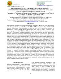 Image result for Tephrosia bracteolata