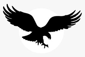 Clan Of The American Eagle Png Logo American Eagle Logo Transparent Png Transparent Png Image Pngitem Find high quality eagle silhouette, all silhouette images can be downloaded for free for personal use only. clan of the american eagle png logo