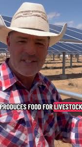 Something new and exciting happening for us. #goats #goatscaping  #goatgrazing #grazinggoats #contractgrazing #contractgoatgrazing  #targetedgrazing #targetedgoatgrazing #grazingsystems #prescibedgrazing  #prescribedgoatgrazing #systemsgrazing #rentagoat ...