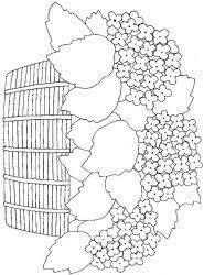 Inima de desenat desene cu inimi inima de colorat inimioare de colorat imagini cu inimi fluture de colorat trandafiri de colorat struguri de colorat aici găsiți desene de colorat cu inimioare pentru copii. Planse De Colorat Cu Flori Desene De Colorat Cu Flori Flori De Colorat